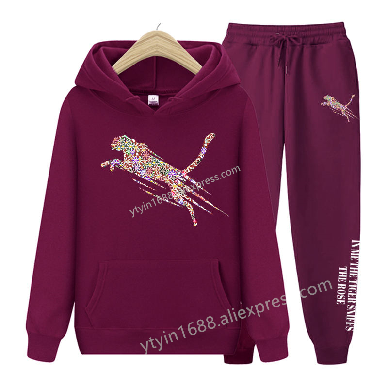 Womens TrackSuit  Aesthetic Sw - Hoodie Women Oversized recension och pris