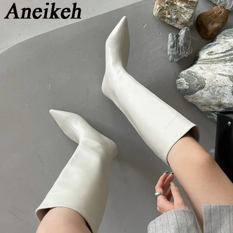 Aneikeh 2026 Fashion Sexy Poin - Women'S Fashion Knee High Boots recension och pris